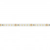 Светодиодная лента RT 2-5000 24V Day4000 2x (3528, 600 LED, LUX) (Arlight, 9.6 Вт/м, IP20)                        