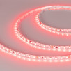 Светодиодная лента RT 2-5000 24V Red 5mm 2x (3528, 600 LED, LUX) (Arlight, 9.6 Вт/м, IP20)                        