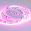 Светодиодная лента RT-A120-8mm 12V Pink (9.6 W/m, IP20, 2835, 5m) (Arlight, Открытый)                        