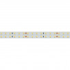 Светодиодная лента RT 2-5000 24V Day4000 2x2 (2835, 980 LED, LUX) (Arlight, 20 Вт/м, IP20)                        