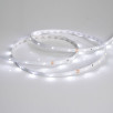 Светодиодная лента RT 2-5000 24V White6000 0.5x (3528, 150 LED, LUX) (Arlight, 2.9 Вт/м, IP20)                        