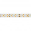 Светодиодная лента RT 2-5000 24V Day4000 3x2 (2835, 1260 LED, LUX) (Arlight, 27 Вт/м, IP20)                        