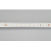 Светодиодная лента IC 2-30000 24V Warm2700 10mm (2835, 60 LED/m, LUX) (Arlight, 4.6 Вт/м, IP20)                        