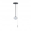 Подвесной светильник Loft It Signal 10029PS Black                        