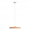 Подвесной светильник Loft It (Light for You) Plato 10119 Orange                        