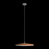 Подвесной светильник Loft It (Light for You) Plato 10119 Orange                        