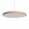 Подвесной светильник Loft It (Light for You) Plato 10119 Orange                        