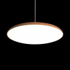 Подвесной светильник Loft It (Light for You) Plato 10119 Orange                        