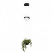 Подвесной светильник Loft It (Light for You) Jardin 10121/B