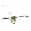 Подвесной светильник Loft It (Light for You) Jardin 10121/C                        