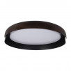 Потолочный светильник Loft It (Light for You) Coin 10198 Black                        