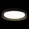 Потолочный светильник Loft It (Light for You) Coin 10198 Black                        