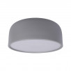 Потолочный светильник Loft It (Light for You) Axel 10201/350 Grey                        