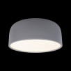 Потолочный светильник Loft It (Light for You) Axel 10201/350 Grey                        