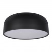 Потолочный светильник Loft It (Light for You) Axel 10201/480 Black                        