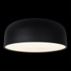 Потолочный светильник Loft It (Light for You) Axel 10201/480 Black                        