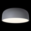 Потолочный светильник Loft It (Light for You) Axel 10201/480 Grey                        