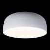 Потолочный светильник Loft It (Light for You) Axel 10201/480 White                        