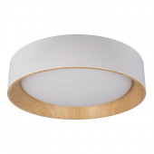 Потолочный светильник Loft It (Light for You) Coin 10202 White