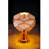 Настольная лампа Woodshire Астеко 1330mx/1                        