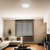 Настенно-потолочный светильник Sonex Modes 2043/DL                        