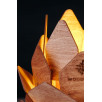 Настольная лампа Woodshire Шишка 2535mx/1                        