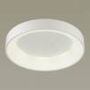 Потолочный светильник Odeon Light SOLE 4066/40CL                        