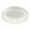 Потолочный светильник Odeon Light SOLE 4066/40CL                        