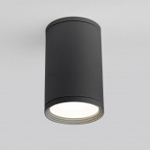 Уличный потолочный светильник Elektrostandard Light 2101 IP65 35128/H серый