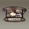 Ландшафтный потолочный светильник Odeon Light NATURE 4961/2C                        