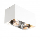 Потолочный светильник Zumaline BOX SL2 89949-G9