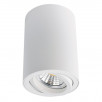 Светильник потолочный Arte Lamp A1560 A1560PL-1WH                        