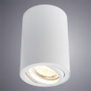 Светильник потолочный Arte Lamp A1560 A1560PL-1WH                        