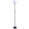 Торшер Arte Lamp SCEPTRUM A1822PN-1BK                        