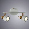 Потолочный светильник Arte Lamp ALMACH A1906PL-2WH                        