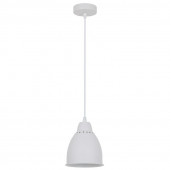 Светильник подвесной Arte Lamp Braccio A2054SP-1WH