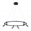 Подвесная люстра Arte Lamp RING A2186SP-1BK                        