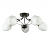 Светильник потолочный Arte Lamp BRIGHTON A2706PL-5CK                        