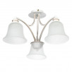 Потолочный светильник Arte Lamp EMMA A2713PL-3WG                        