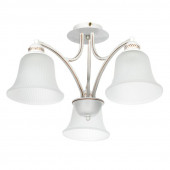 Потолочный светильник Arte Lamp EMMA A2713PL-3WG