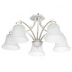 Светильник потолочный Arte Lamp EMMA A2713PL-5WG                        