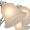 Светильник потолочный Arte Lamp EMMA A2713PL-8WG                        