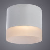 Потолочный светильник Arte Lamp CASTOR A5554PL-1WH                        