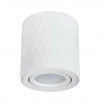 Точеченый светильник Arte Lamp FANG A5559PL-1WH                        