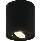 Светильник потолочный Arte Lamp Falcon A5645PL-1BK