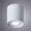 Светильник потолочный Arte Lamp Falcon A5645PL-1WH                        