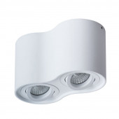 Светильник Arte Lamp Falcon A5645PL-2WH