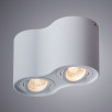 Светильник Arte Lamp Falcon A5645PL-2WH                        