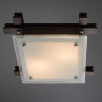 Потолочный светильник Arte Lamp Archimede  A6462PL-2CK                        