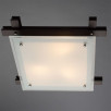 Потолочный светильник Arte Lamp Archimede  A6462PL-3CK                        